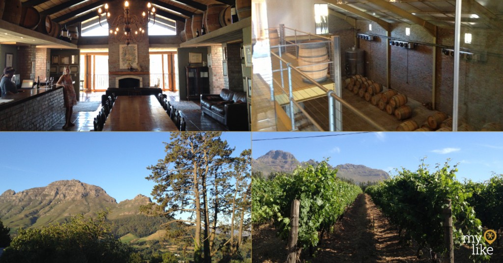 Stellenbosch Wine Tour