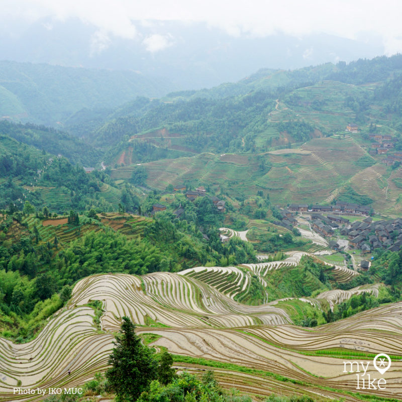 myLike of the Day - Longsheng Rice Terraces, China